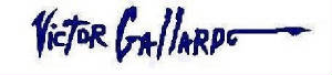 firmav.jpg